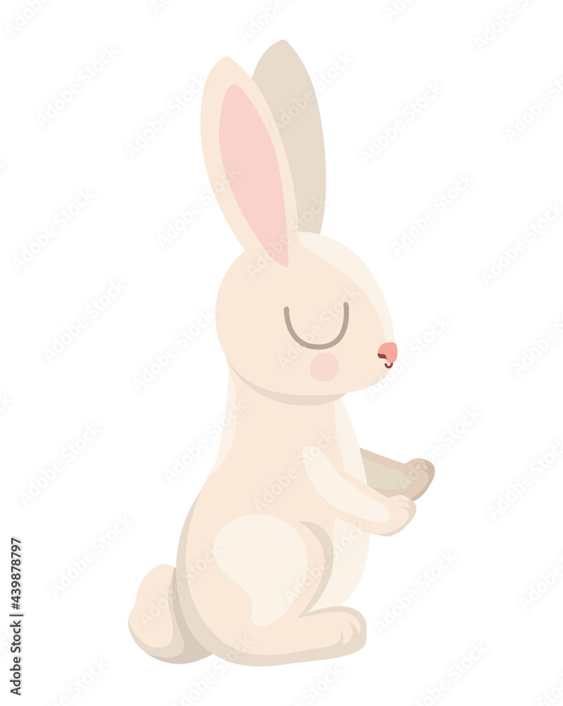 cute bunny design