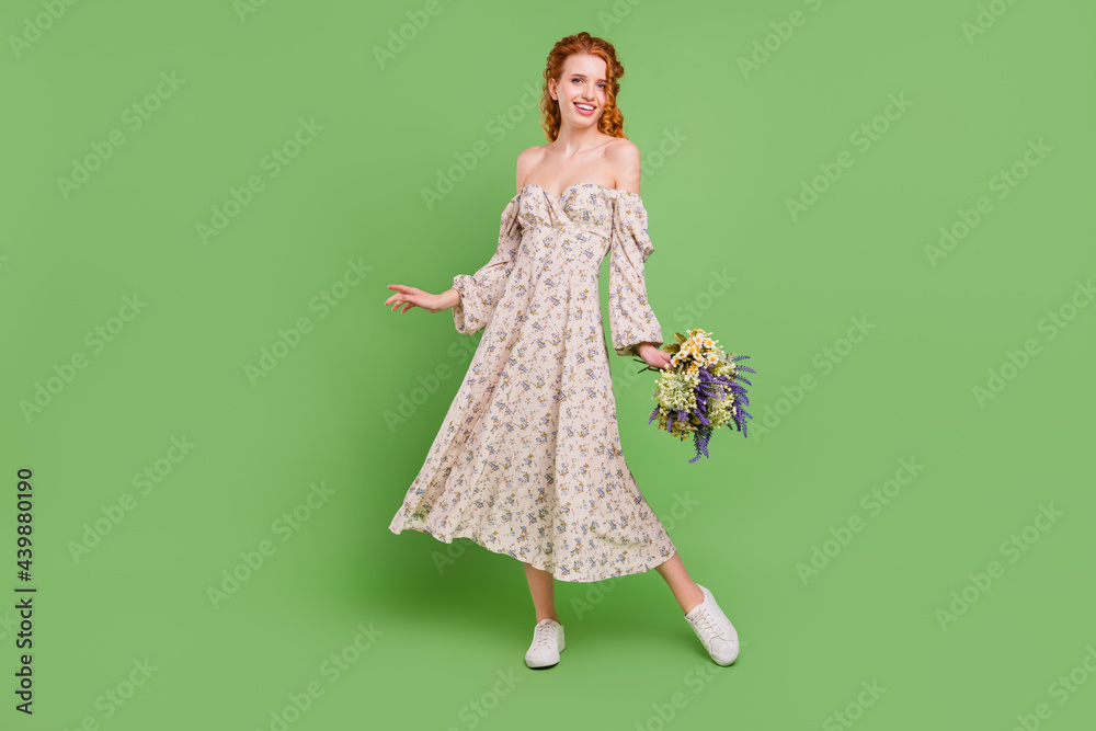 Full length photo of positive pretty young woman hold hands wildflowers isolated on green color background Full length photo of positive pretty young woman hold hands wildflowers isolated on green color background
