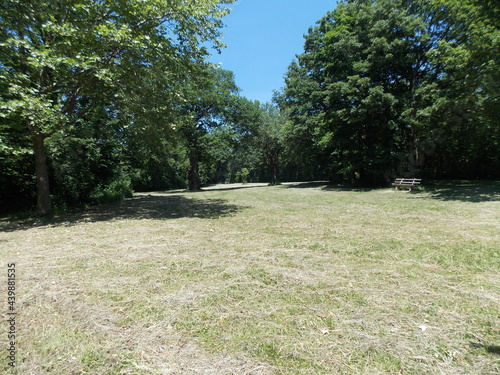 Green meadow in summer with lonely bench 