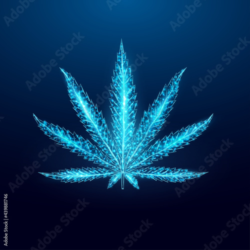 Cannabis leaf. Low poly wireframe style. The concept of medical use of marijuana, alternative treatment. Abstract modern 3d vector illustration on dark blue background.