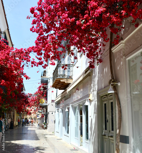 Beautiul flower lined street in Nafplio ( aka Nauplia, Nafplion) photo