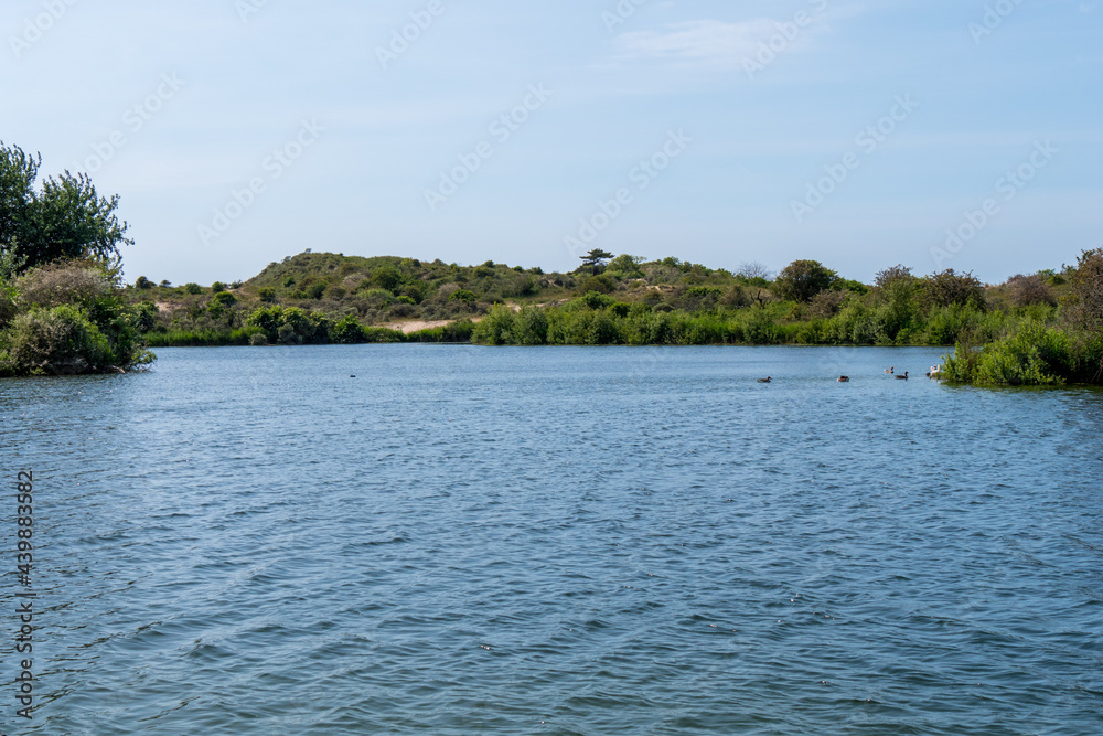 Water reservoir with ducks and dunes in the background