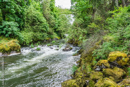 Beautiful Deschutes River 3