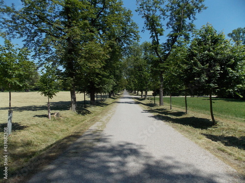 Rural boulevard on a sunny day 