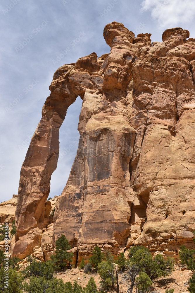 Fototapeta premium arch in the southwest