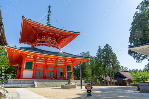 【和歌山県】高野山真言宗総本山 金剛峯寺の壇上伽藍の大塔