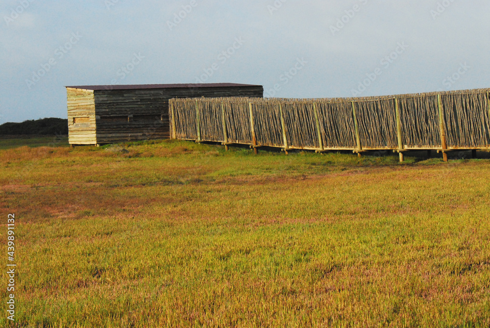 Africa- Panoramic Overview of Bird Blind and Wetlands Africa- Panoramic Overview of Bird Blind and Wetlands