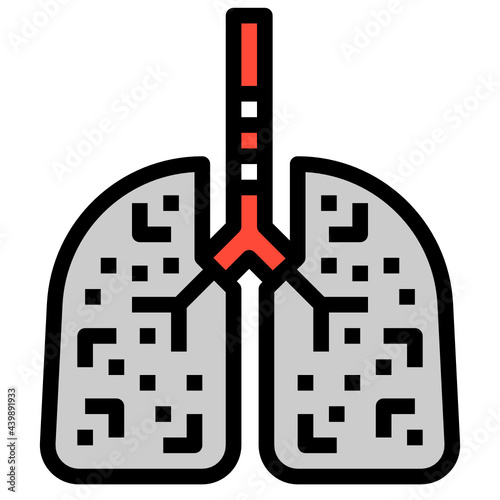 lung