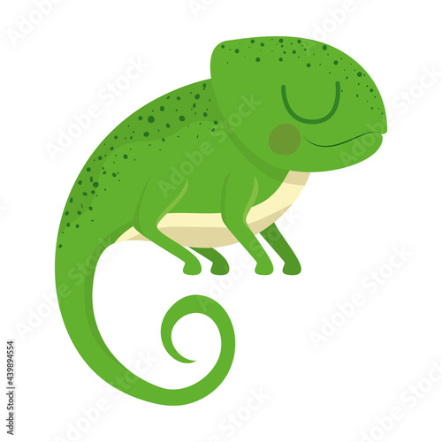 pretty iguana design