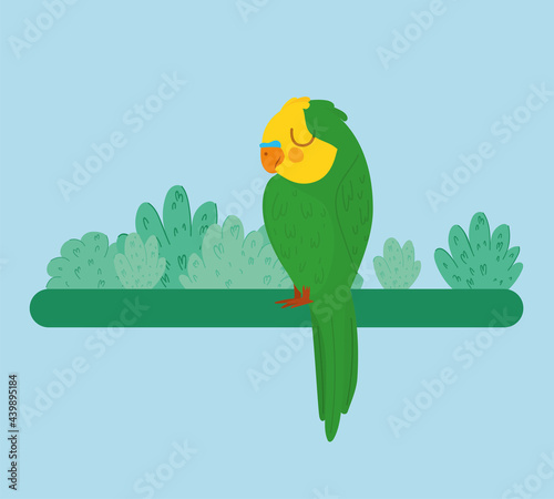 pretty parrot illustration