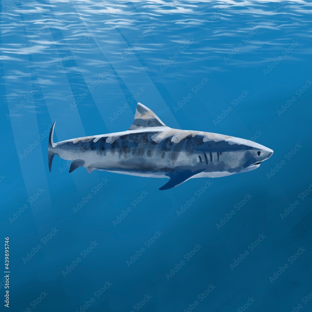 Fototapeta premium Watercolor shark hand drawn illustration, on ocean background