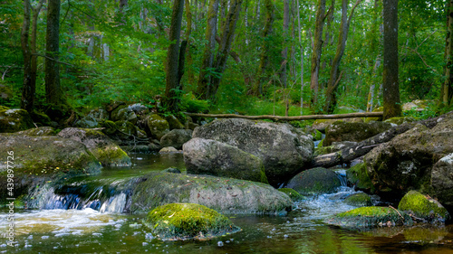 Rocks in a stream in the forest. Shot in Sweden  Scandinavia
