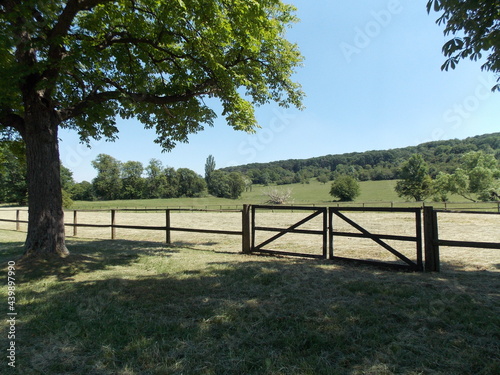 Closed wooden gate on a sunny day
