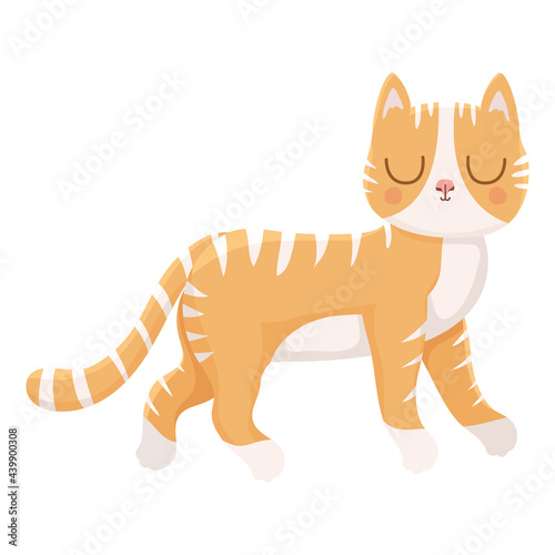 pretty cat illustration