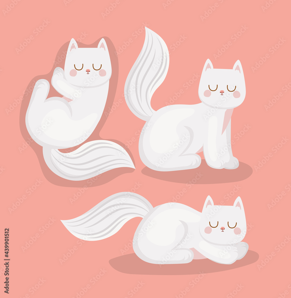 three pretty kitties