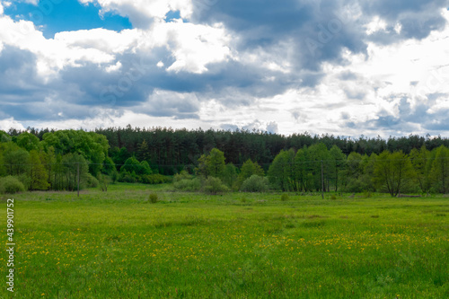 field and blue sky