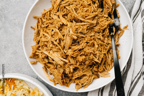 Pulled pork platter with coleslaw photo