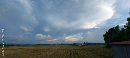 Beautiful scenery of rice paddy field under a cloudy sky in Nueva Ecija, Philippines photo