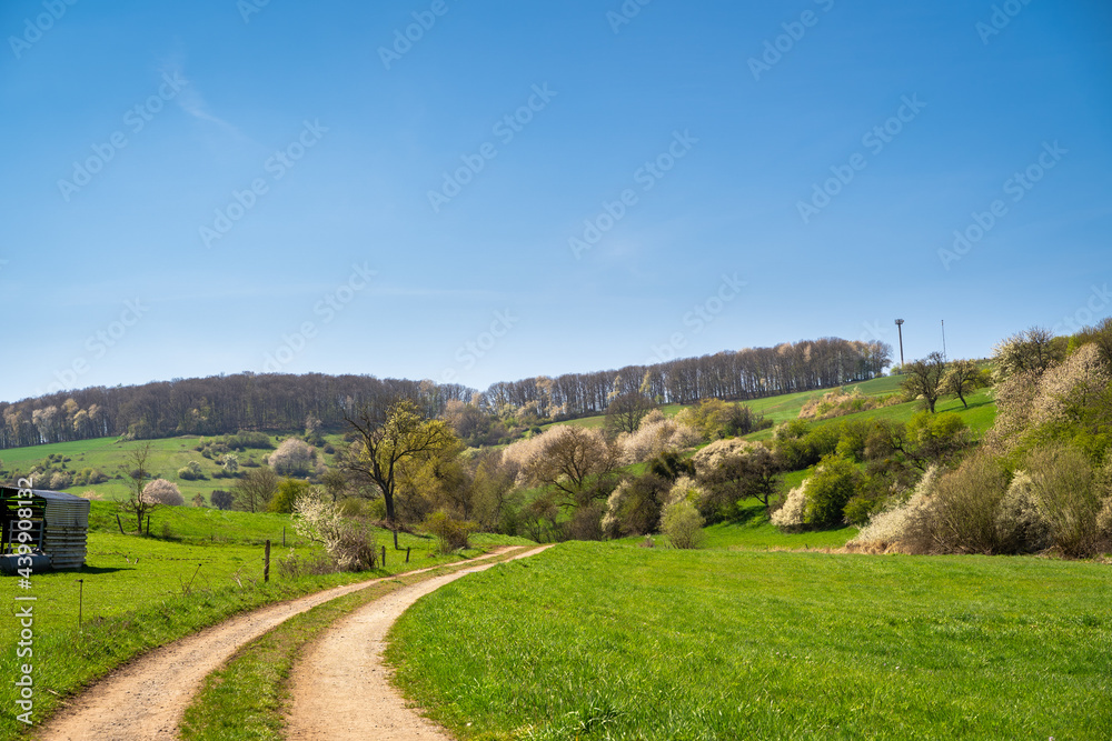 Country road in landscape between fields with nice blue sky 