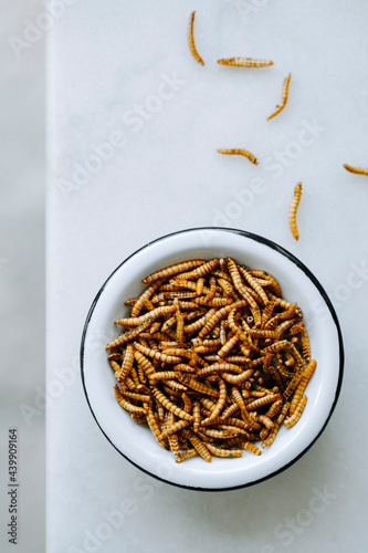 Close up of dried molitor worms photo