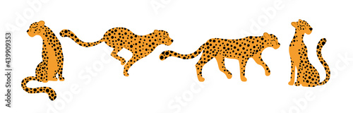 Fototapeta Naklejka Na Ścianę i Meble -  Leopards set. Vector illustrations of tropical animals in different poses in a simple cartoon hand-drawn style. Isolate on a white background.