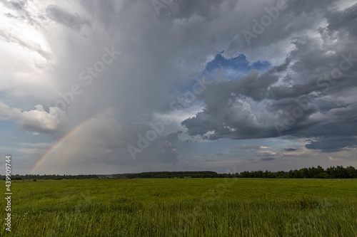 Rain clouds lit by the sun over a field after rain. bright green grass in the field. Fragment of a rainbow in the sky. © Sergei