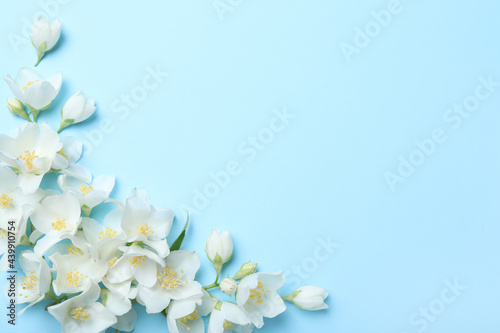 Beautiful jasmine flowers on turquoise background  flat lay. Space for text