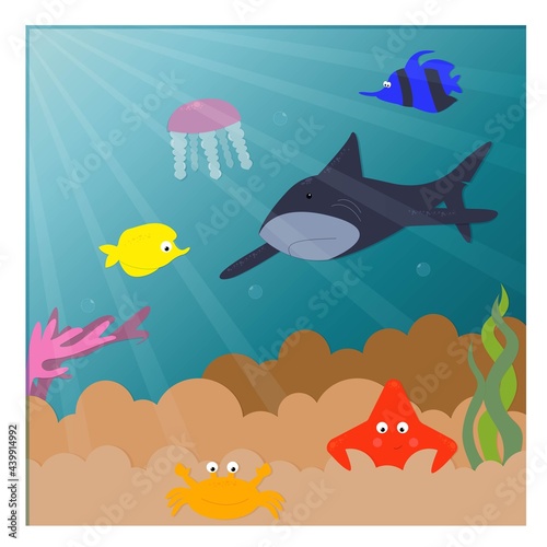 marine life