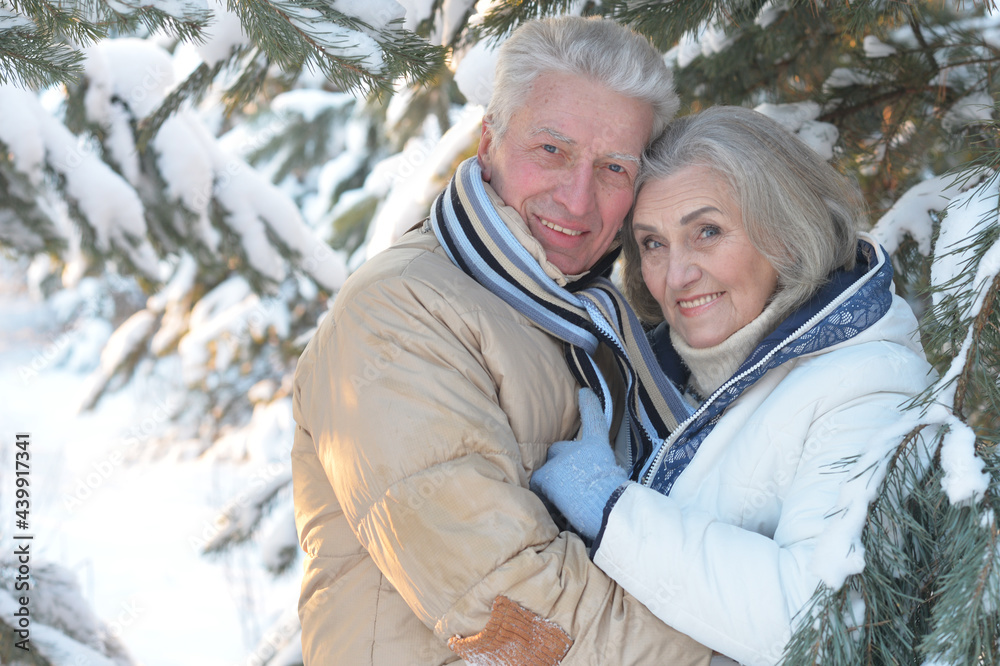 Fototapeta premium Happy senior couple at snowy winter park