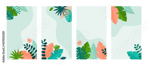 Simple Tropical Palm and Motstera Leaves Natural set Background. Vector Illustration