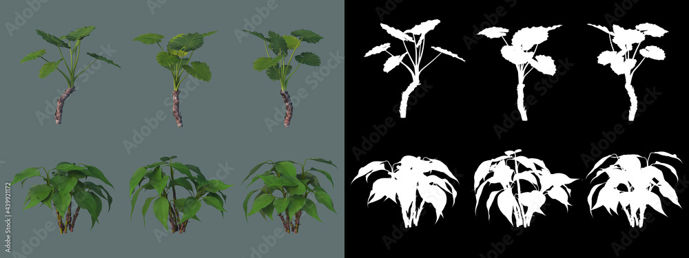 a wide variety of trees and plants
a wide variety of trees and plants
