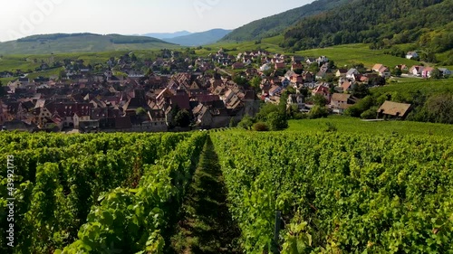 Elssas France, flying over a vine area and old town. Copy space