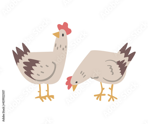 Hens Farm Bird, Poultry Breeding Concept Cartoon Vector Illustration