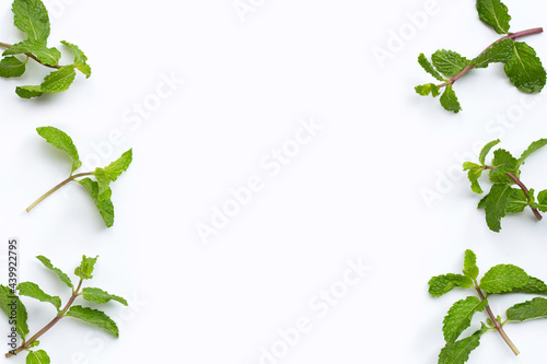 Fresh mint leaves on white background. Copy space