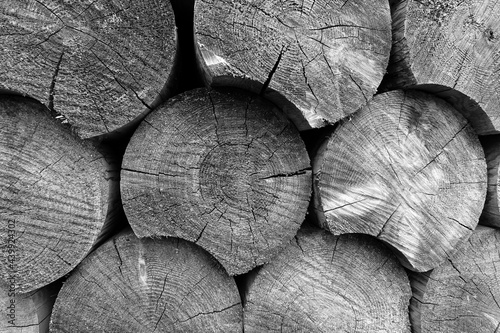 ends of logs wooden background. toning. wood in the stack.