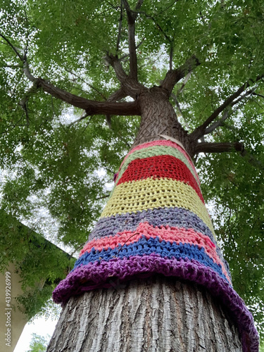 Vertical shot of yarn bombing on a high tree with green leaves in the background photo