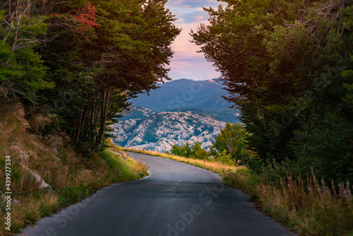Road in woods and mountains of Montenegro