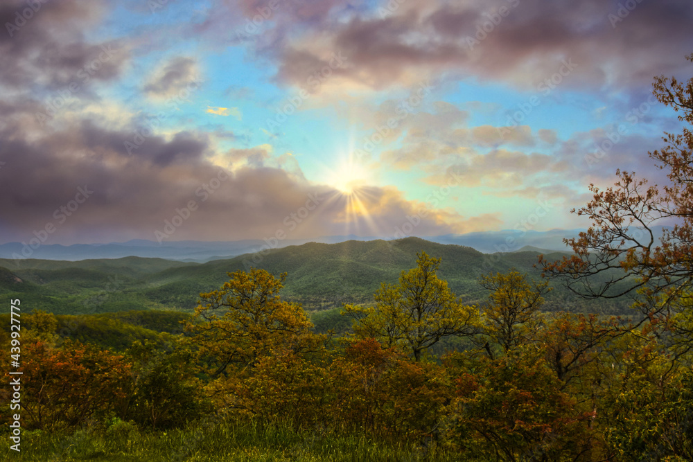 Pink Clouds Autumn Forest Scenery 