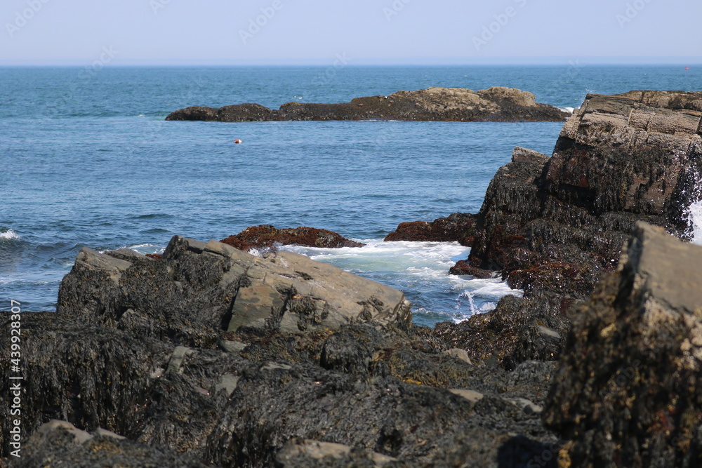 Rocky coast of the sea in Maine