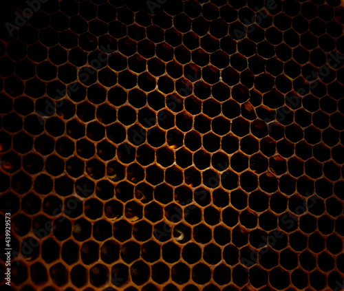Dark Hexagonal textured honeycomb background close-up. Black broun yellow background. Agricultural concept