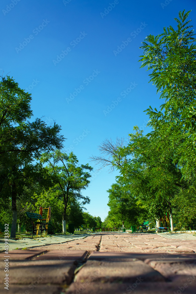 Empty park in summer time. Alley surrounded by green trees and bushes.