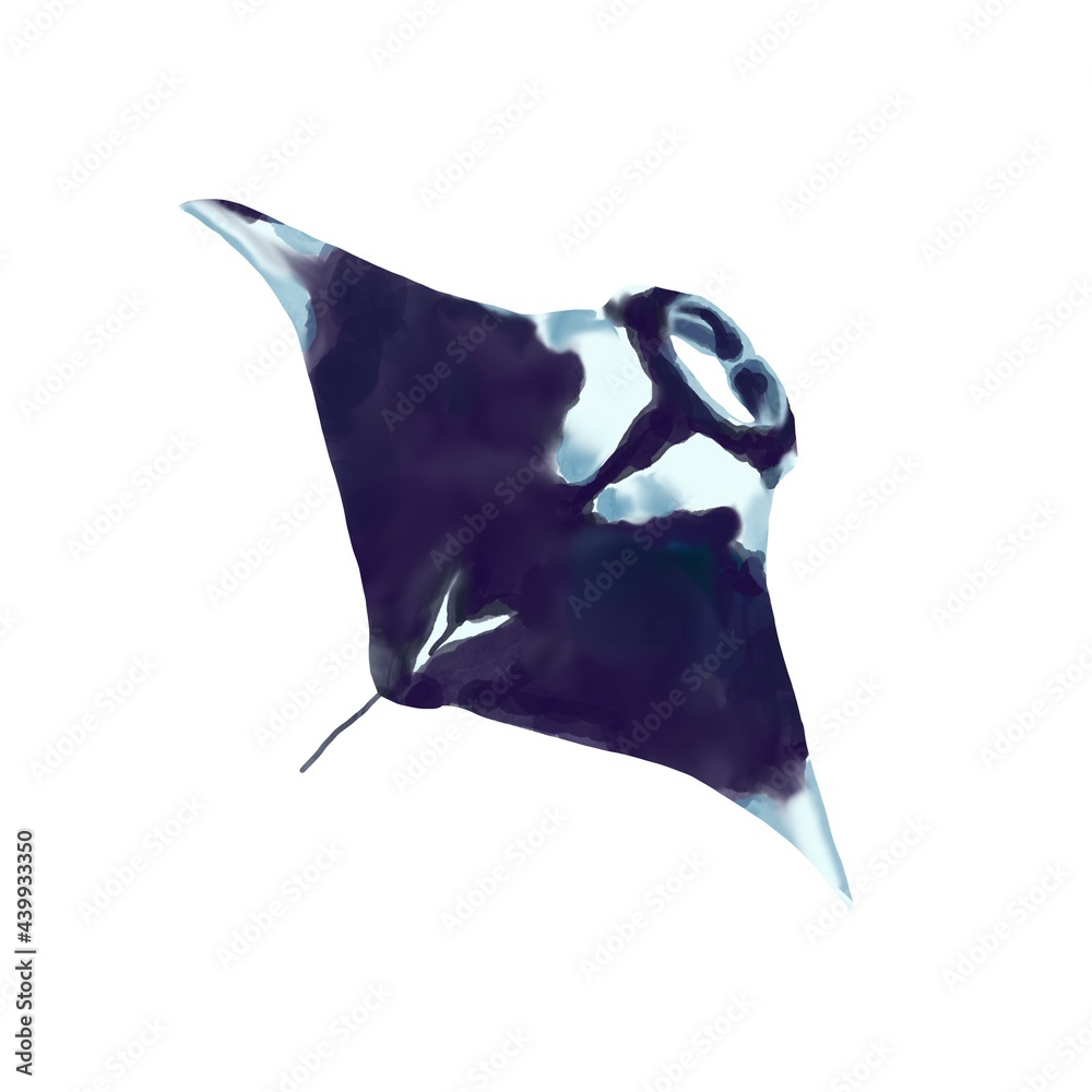 Watercolor illustration of manta ray on a white background. Realistic underwater sea and ocean wild animal. - obrazy, fototapety, plakaty 