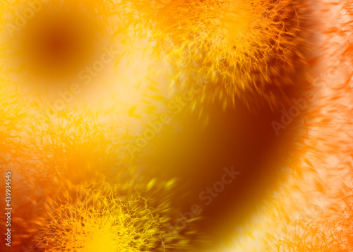 abstract orange background