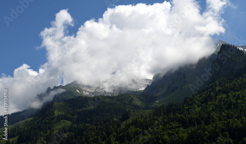 alpes ...en juin