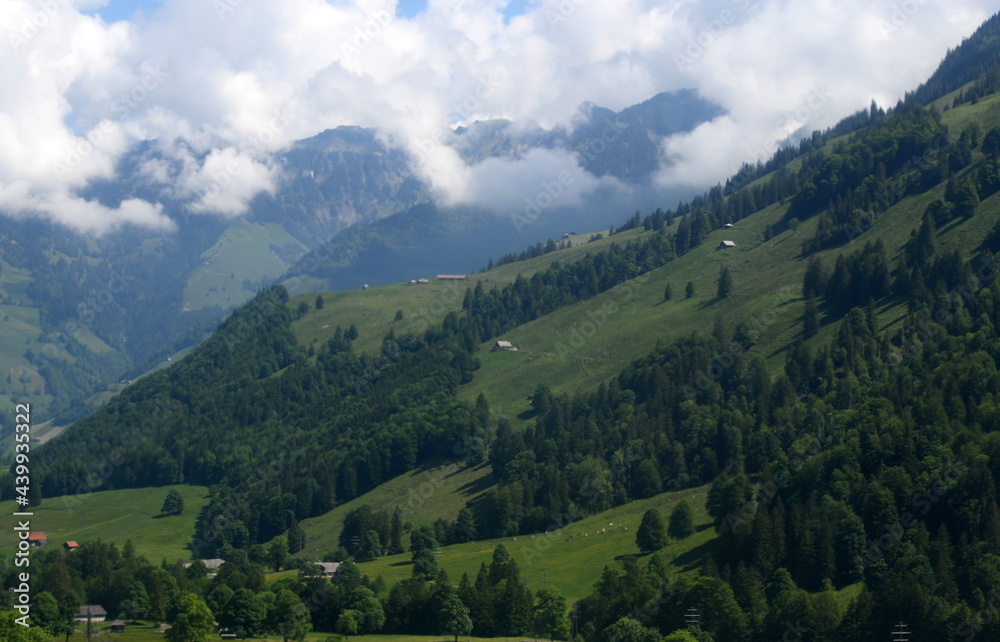 alpes ...en juin alpes ...en juin
