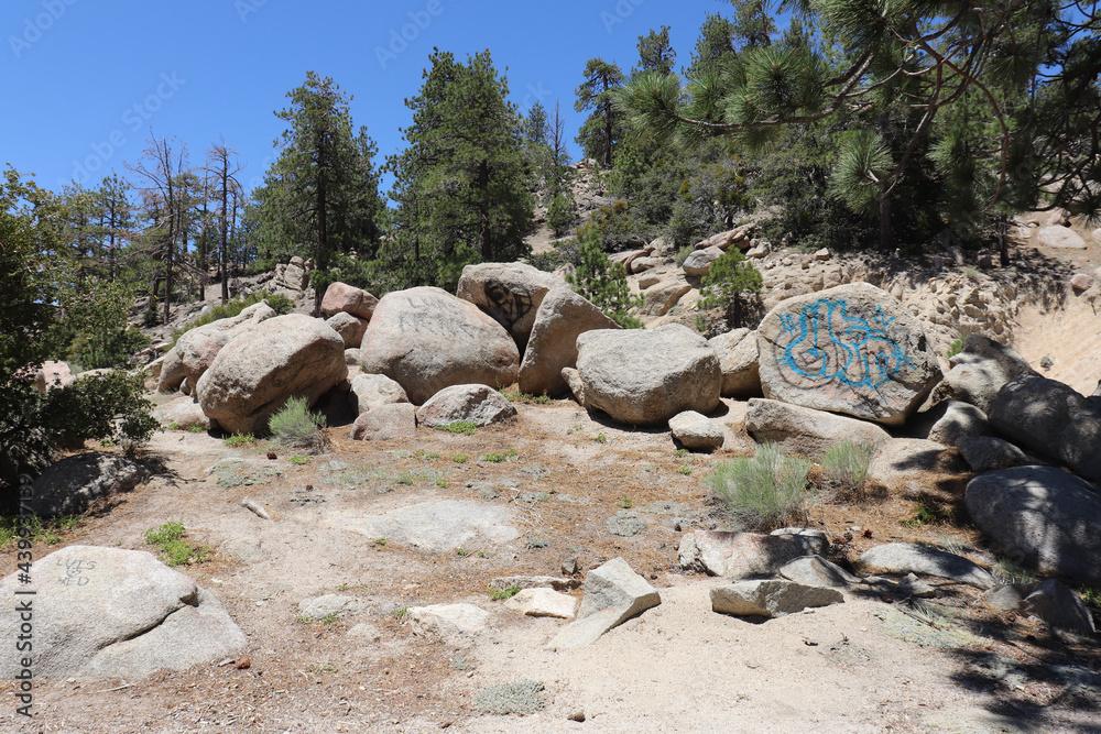 stones in the forest