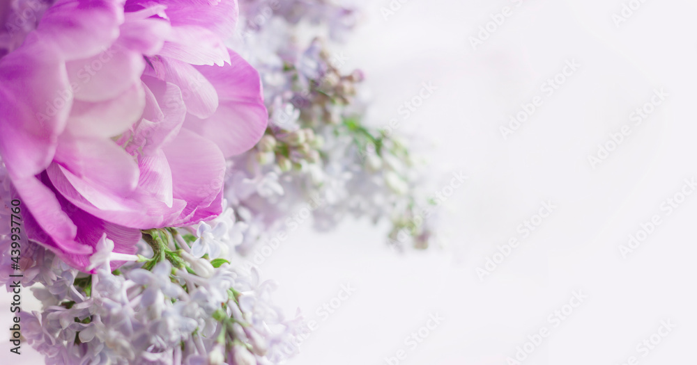 Delicate, pastel bouquet of lilac and purple tudpan on a white background. banner, copy space.Invitation. Spring, love, mother's day soncept Delicate, pastel bouquet of lilac and purple tudpan on a white background. banner, copy space.Invitation. Spring, love, mother's day soncept