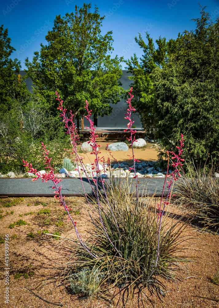 Obraz premium Purple Flowers