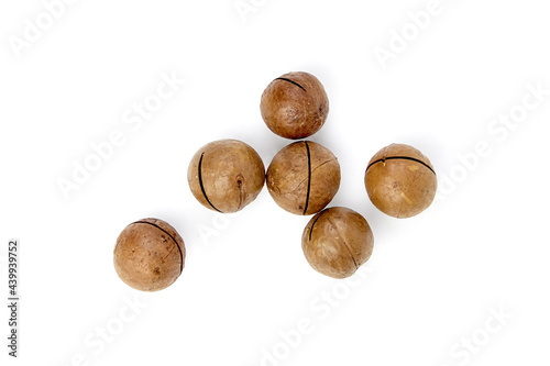 Roasted macadamia nuts in shell isolated on white background. Unshelled macadamia nuts, view from above