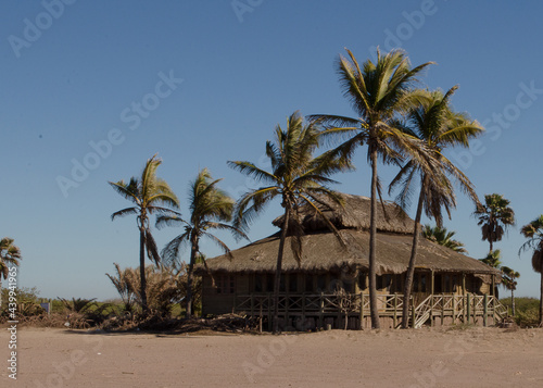 Casa abandonada en la playa rodeada de palmeras en un dia soleado